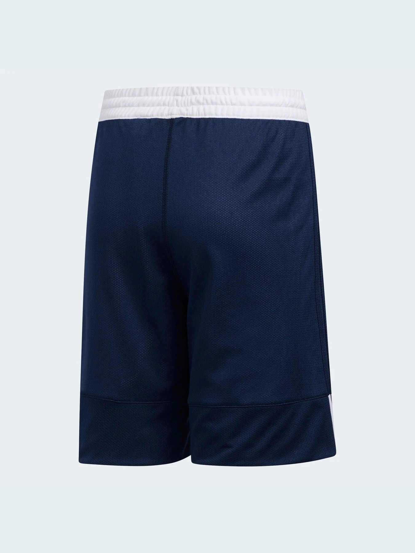 Шорти Adidas модель DY6626 Фото