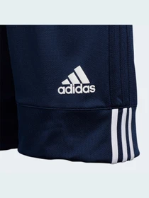 Шорти Adidas модель DY6626 Фото