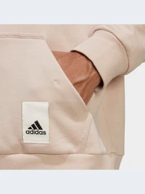 Худі та світшоти Adidas модель IA9341 Фото