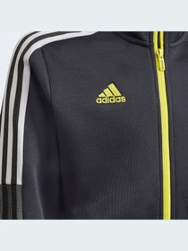 Худи и свитшоты Adidas модель GR2908 Фото