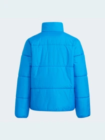Куртки и дубленки Adidas модель GU1866 Фото