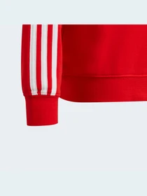 Худі та світшоти Adidas модель HF1353 Фото