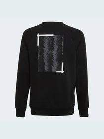 Худи и свитшоты Adidas модель HD8865 Фото