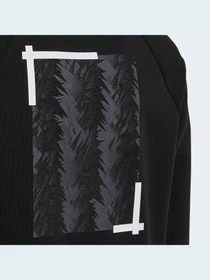 Худи и свитшоты Adidas модель HD8865 Фото