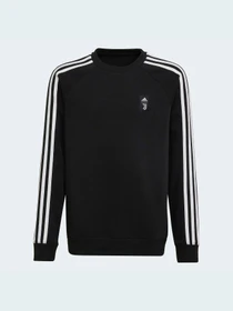 Худи и свитшоты Adidas модель HD8865 Фото