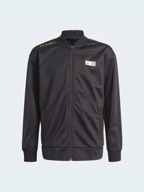 Костюми Adidas модель GN6820 Фото