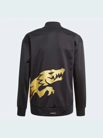 Костюми Adidas модель GN6820 Фото