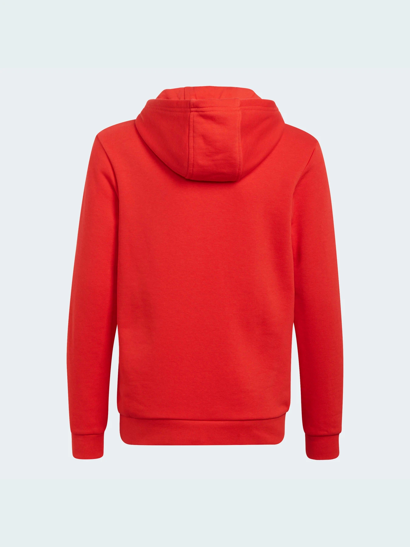 Худи и свитшоты Adidas Adicolor модель HD2020 Худи и свитшоты Adidas Adicolor модель HD2020 Фото
