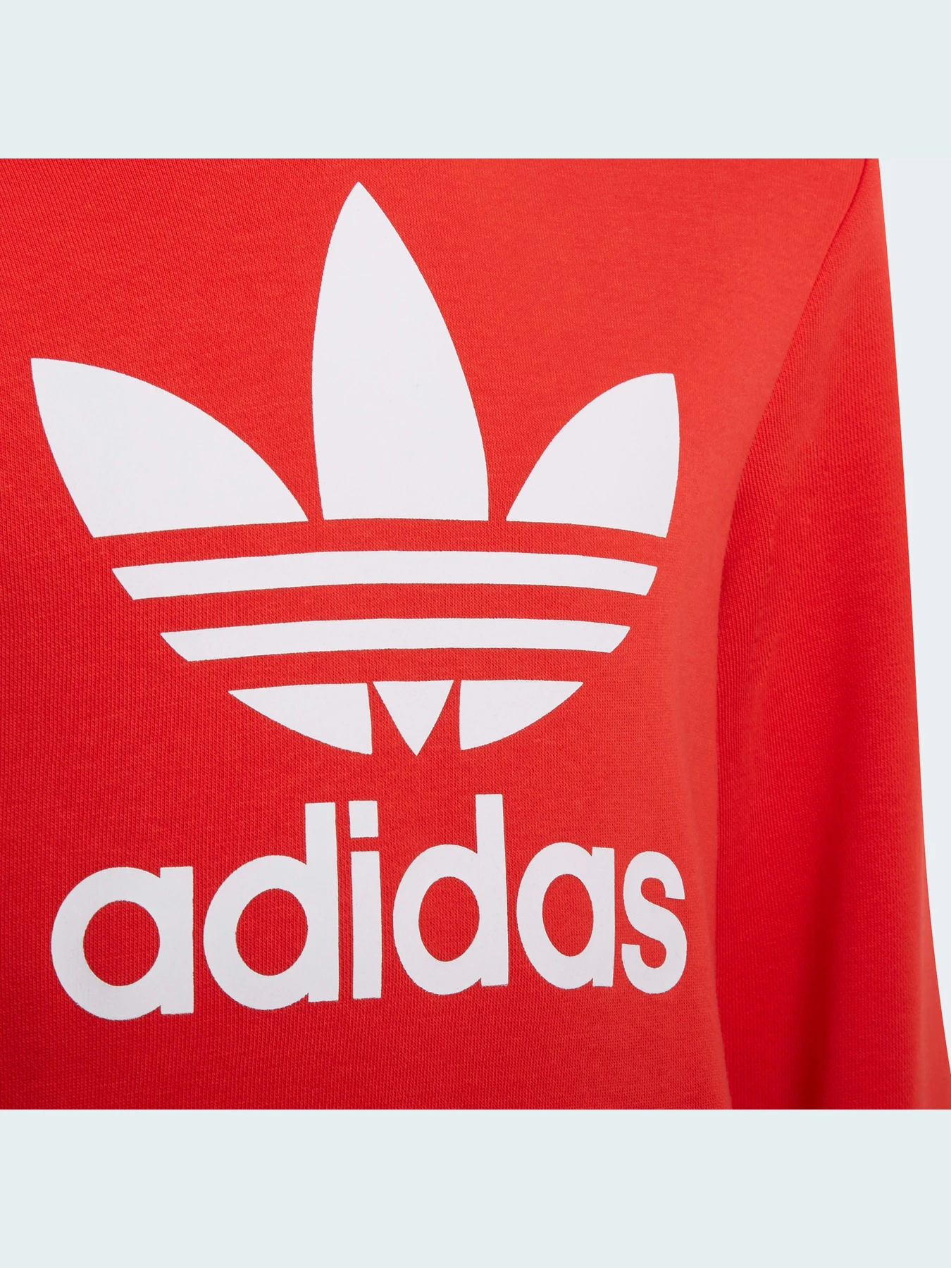 Худи и свитшоты Adidas Adicolor модель HD2020 Худи и свитшоты Adidas Adicolor модель HD2020 Фото