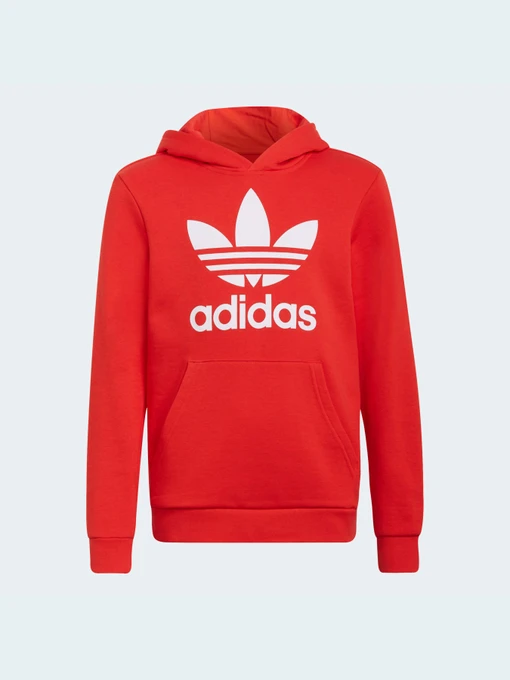Худи и свитшоты Adidas Adicolor модель HD2020 Фото