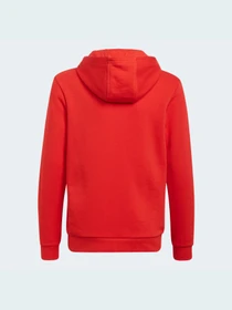 Худи и свитшоты Adidas Adicolor модель HD2020 Фото