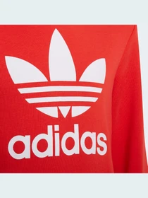 Худи и свитшоты Adidas Adicolor модель HD2020 Фото