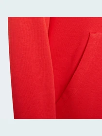Худи и свитшоты Adidas Adicolor модель HD2020 Фото
