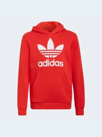 Худи и свитшоты Adidas Adicolor модель HD2020 Фото