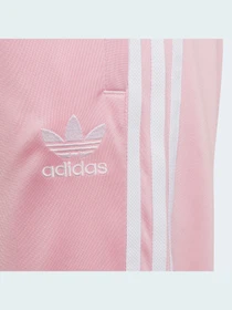 Штани Adidas Adicolor модель HD2046 Фото
