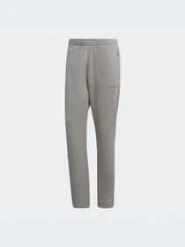 Брюки Adidas Graphics модель HF4894 Фото