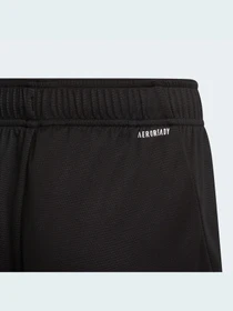 Шорты Adidas модель GM8479 Фото