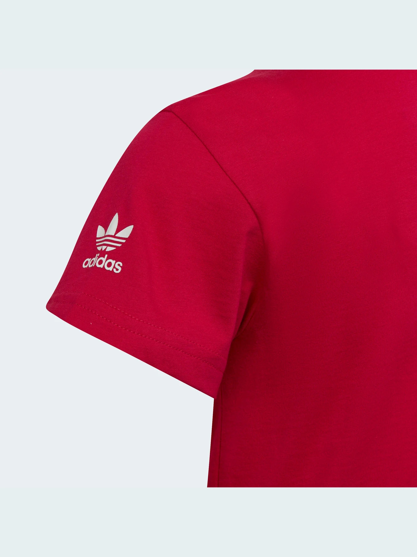 Футболки і поло Adidas Adicolor модель HE6837 Фото