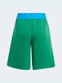 Шорты Adidas модель H26665 Фото