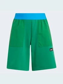 Шорты Adidas модель H26665 Фото