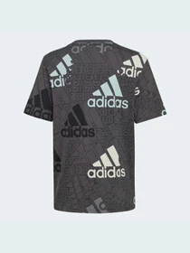 Футболки і поло Adidas модель HP0819 Фото
