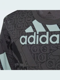 Футболки і поло Adidas модель HP0819 Фото