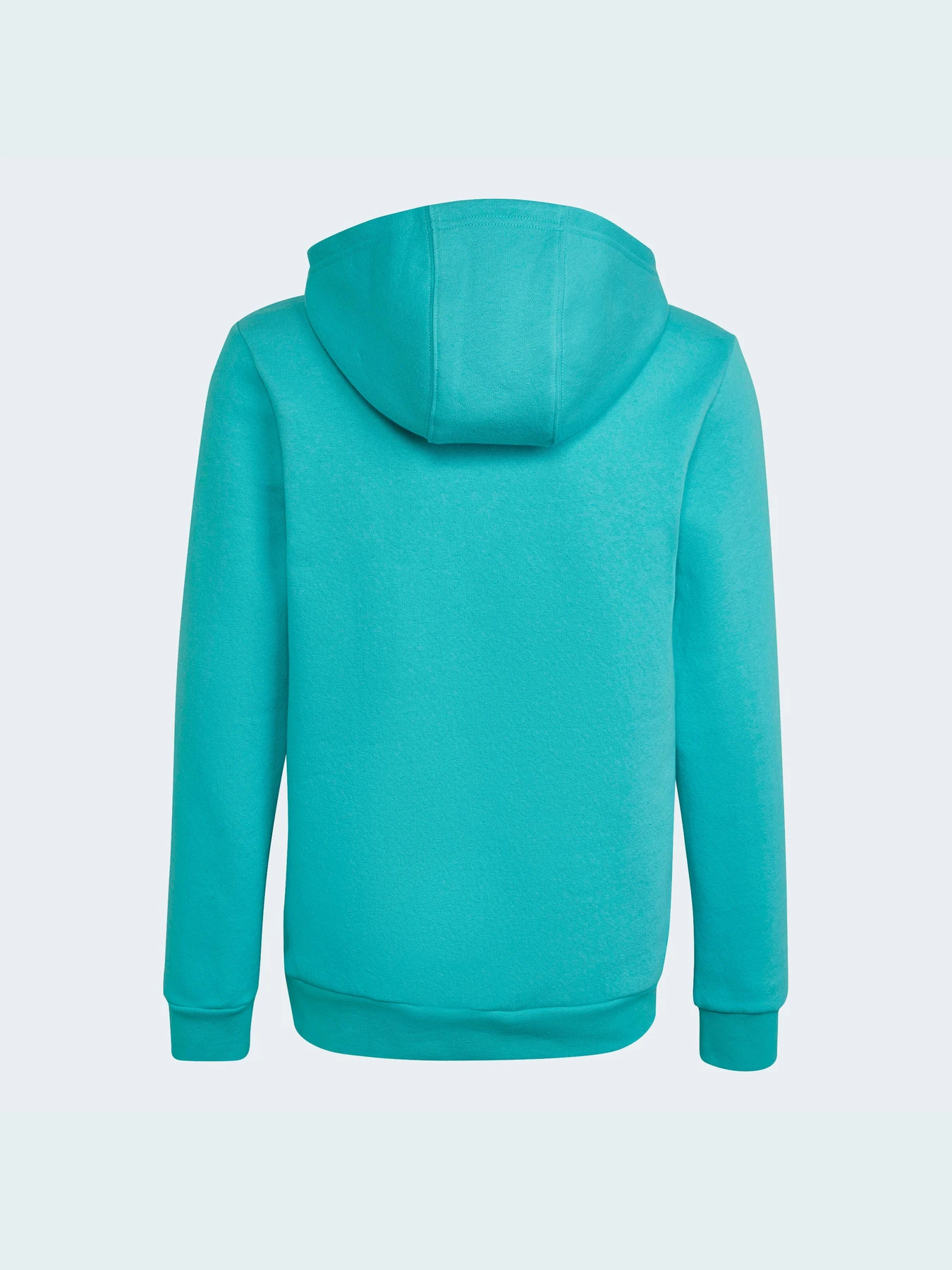 Худи и свитшоты Adidas Adicolor модель HS8871 Худи и свитшоты Adidas Adicolor модель HS8871 Фото