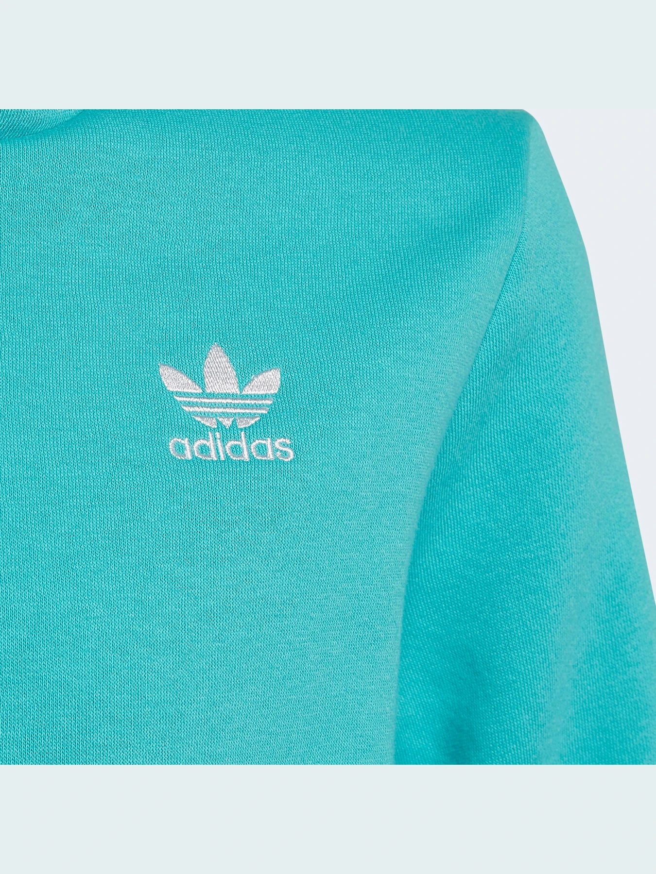 Худи и свитшоты Adidas Adicolor модель HS8871 Худи и свитшоты Adidas Adicolor модель HS8871 Фото