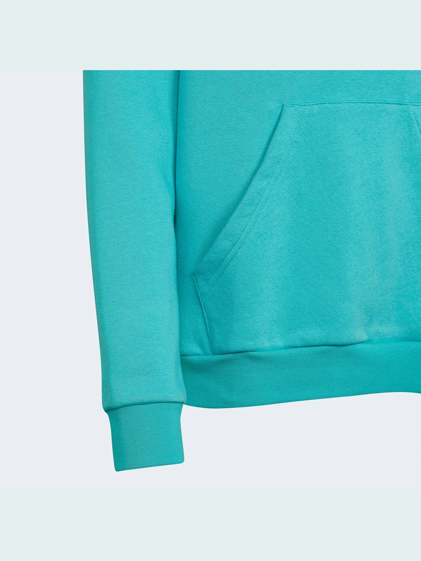 Худи и свитшоты Adidas Adicolor модель HS8871 Худи и свитшоты Adidas Adicolor модель HS8871 Фото