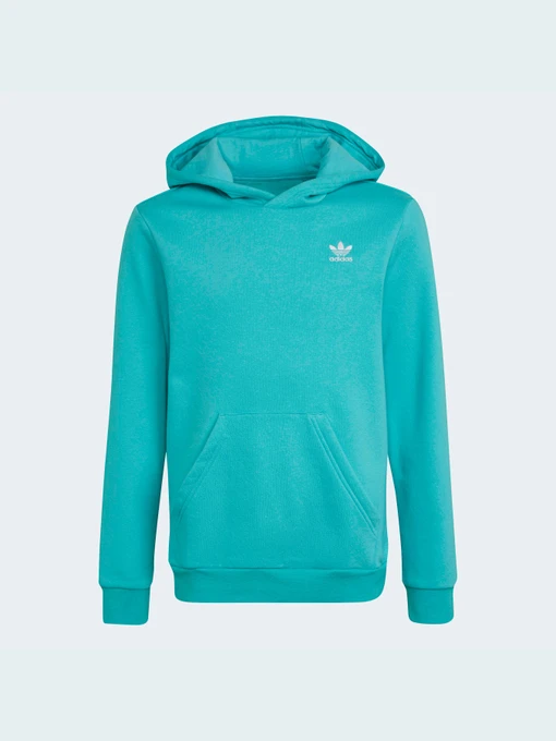 Худи и свитшоты Adidas Adicolor модель HS8871 Фото