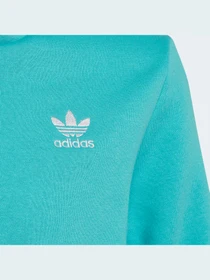 Худи и свитшоты Adidas Adicolor модель HS8871 Фото