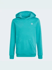 Худи и свитшоты Adidas Adicolor модель HS8871 Фото