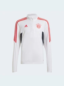 Худі та світшоти Adidas модель HB0619 Фото