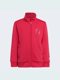 Костюмы Adidas Adicolor модель HB9509 Фото