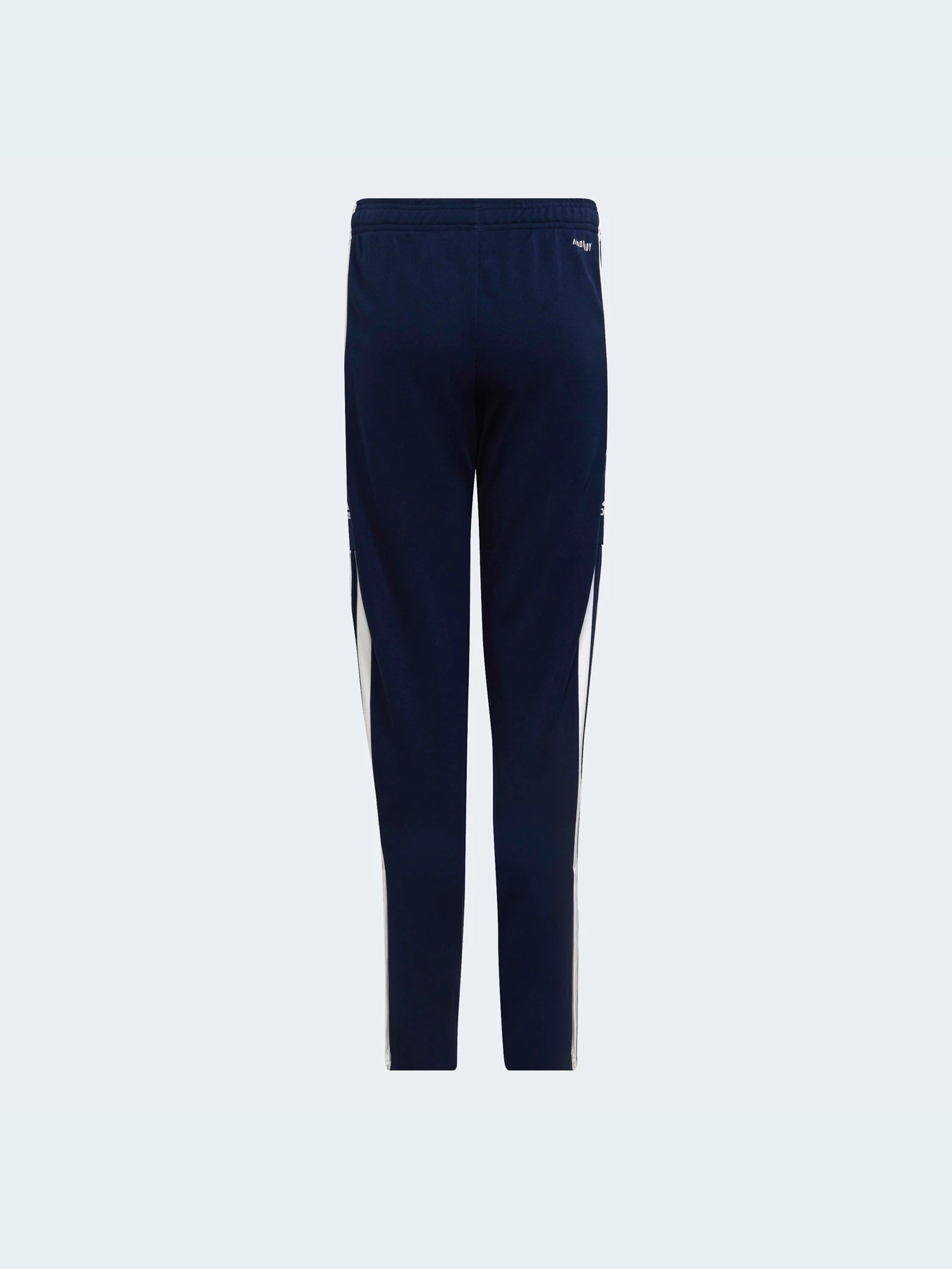 Брюки Adidas модель HC6280 Фото
