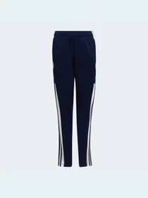 Брюки Adidas модель HC6280 Фото