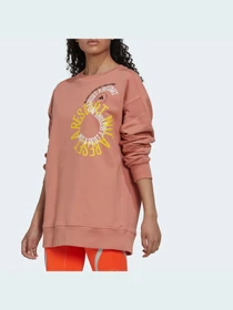 Худи и свитшоты Adidas модель IB5887 Фото