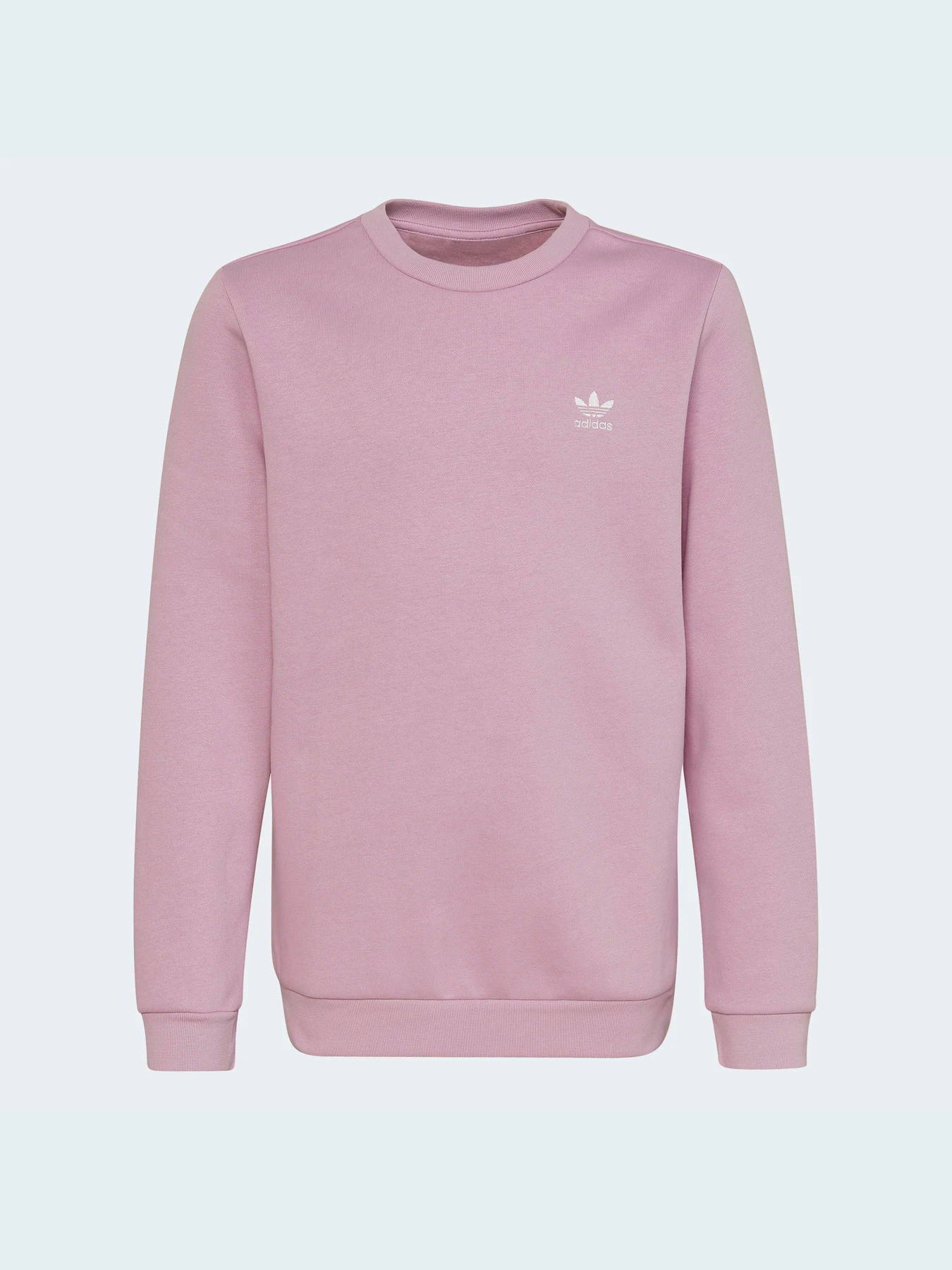 Худи и свитшоты Adidas Adicolor модель HK2893 Фото