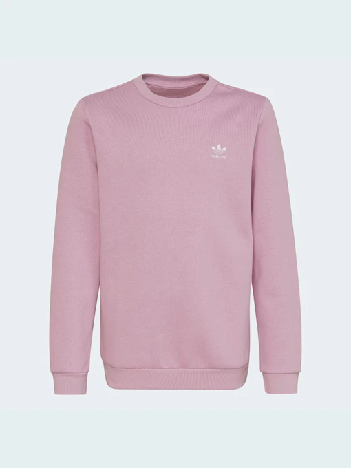 Худи и свитшоты Adidas Adicolor модель HK2893 Фото