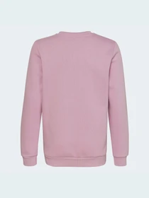 Худи и свитшоты Adidas Adicolor модель HK2893 Фото
