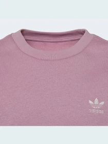Худи и свитшоты Adidas Adicolor модель HK2893 Фото