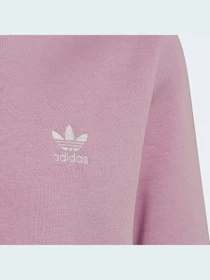Худи и свитшоты Adidas Adicolor модель HK2893 Фото