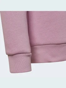Худи и свитшоты Adidas Adicolor модель HK2893 Фото