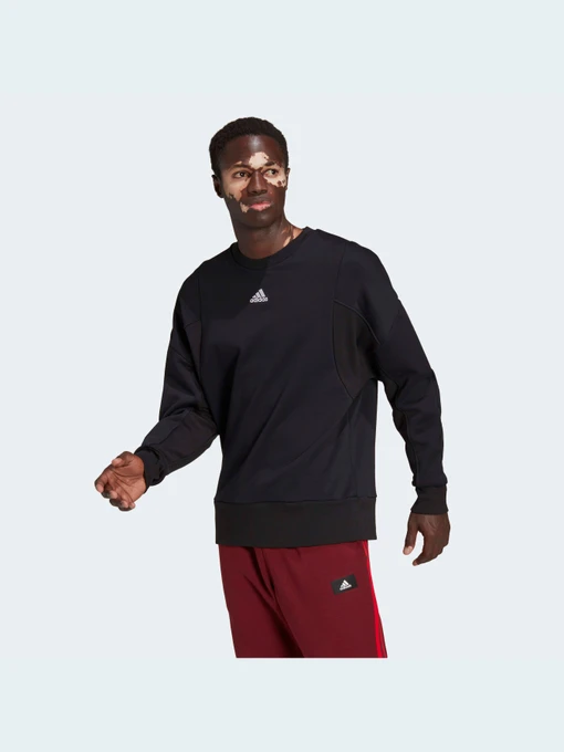 Худи и свитшоты Adidas модель HB6559 Фото