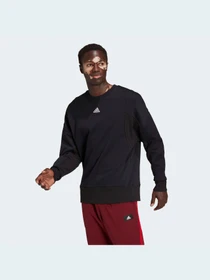 Худи и свитшоты Adidas модель HB6559 Фото