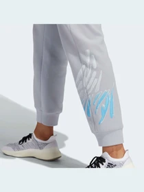Штани Adidas модель HE4946 Фото