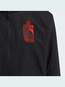 Худі та світшоти Adidas Tiro модель HE1444 Фото