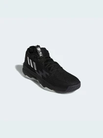 Кроссовки Adidas модель GY6461 Фото