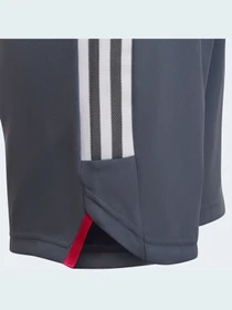 Шорти Adidas Condivo модель HA3570 Фото