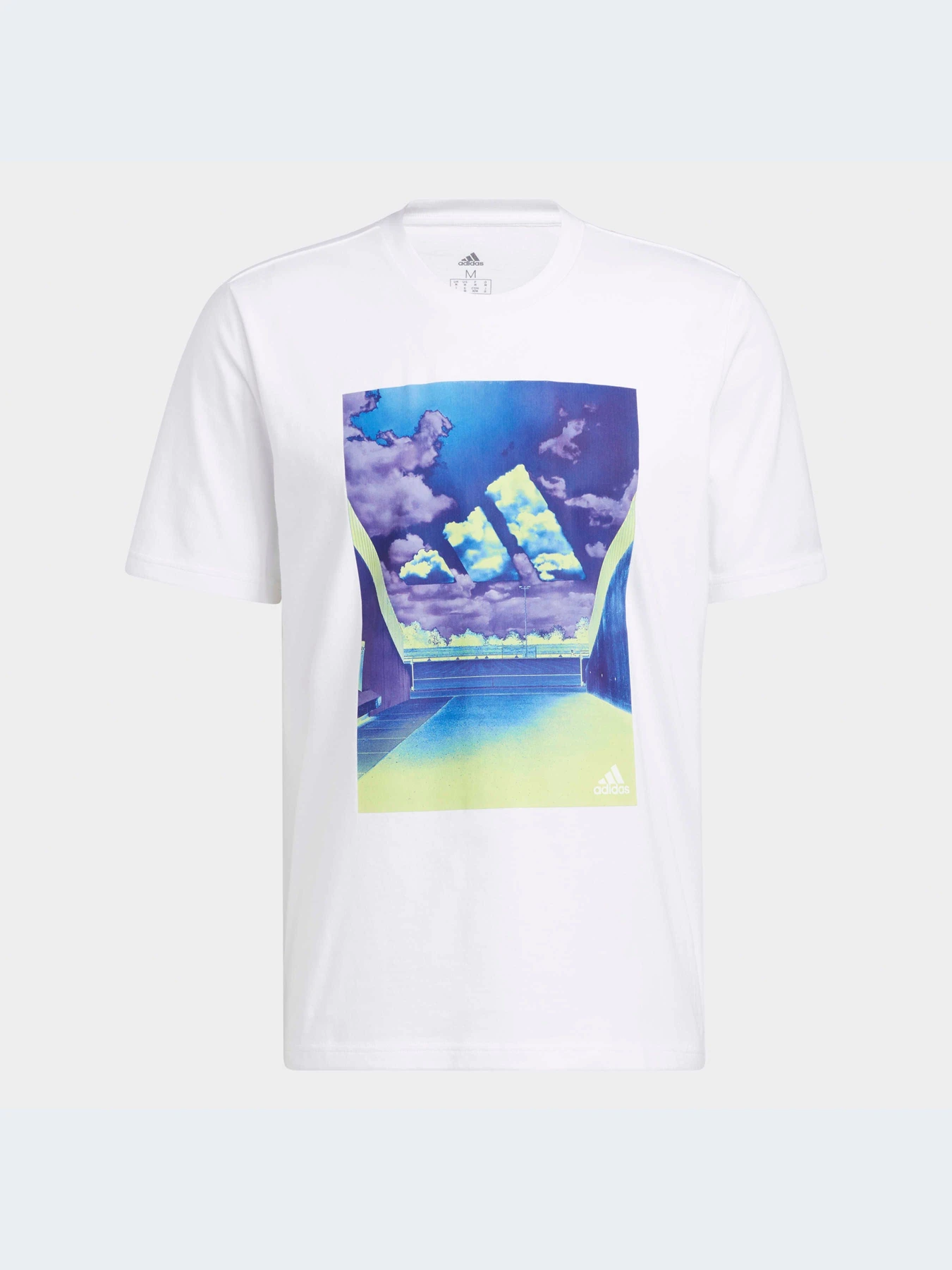 Футболки і поло Adidas Graphics модель HE2308 Футболки і поло Adidas Graphics модель HE2308 Фото